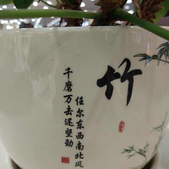 醉赤壁