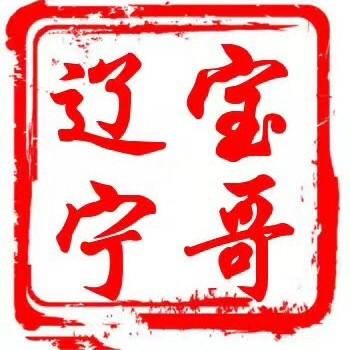 辽宁宝哥摩托车商行