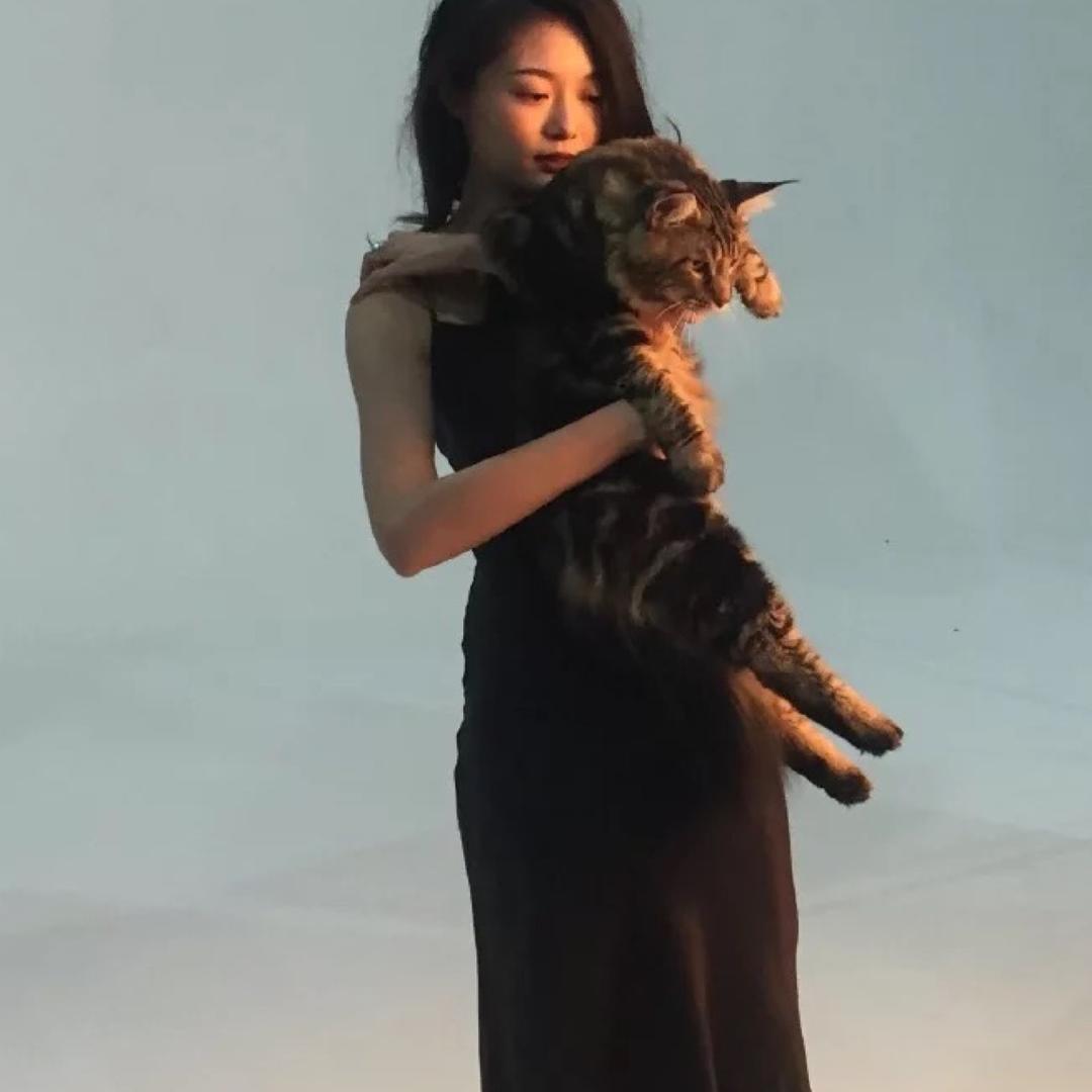 爱分享