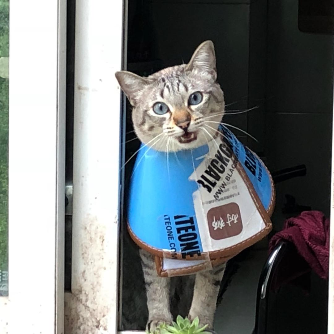 你说
