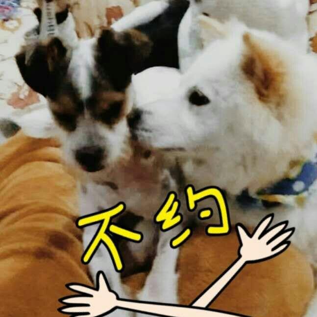 小兵拥有大大梦想