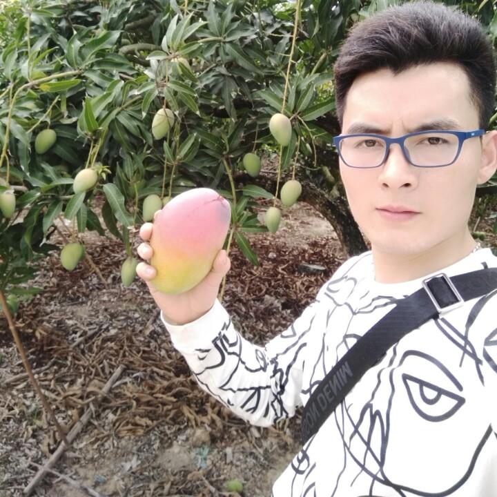 欧阳—贵州石板水果批发