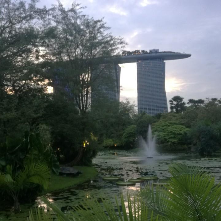 飞飞飞飞哥