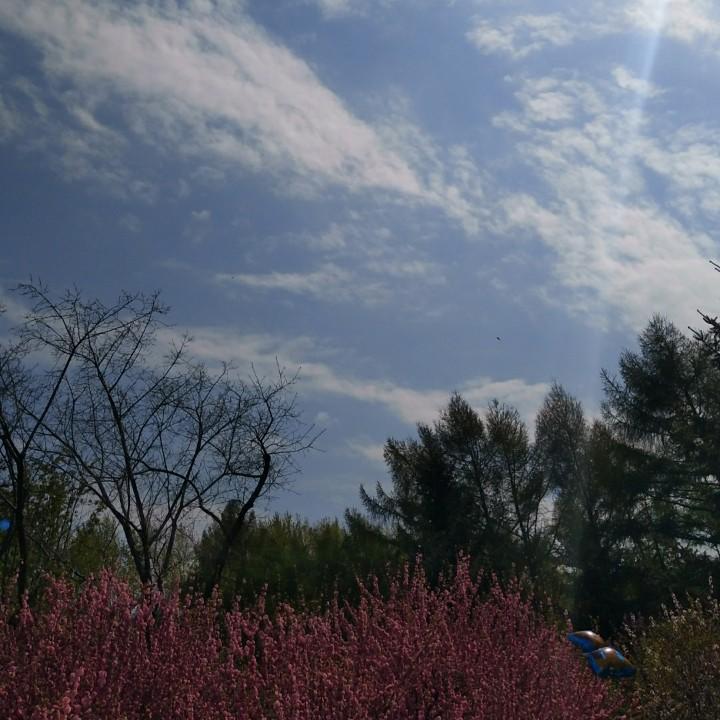小军