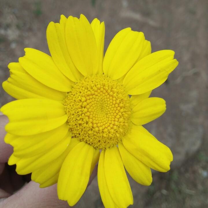 爱❤鑫哥❤
