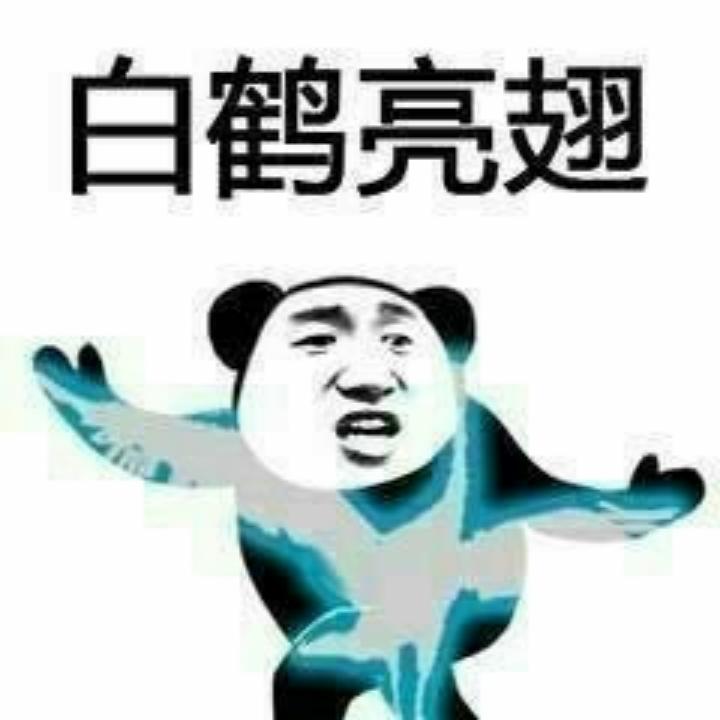 高晓乐