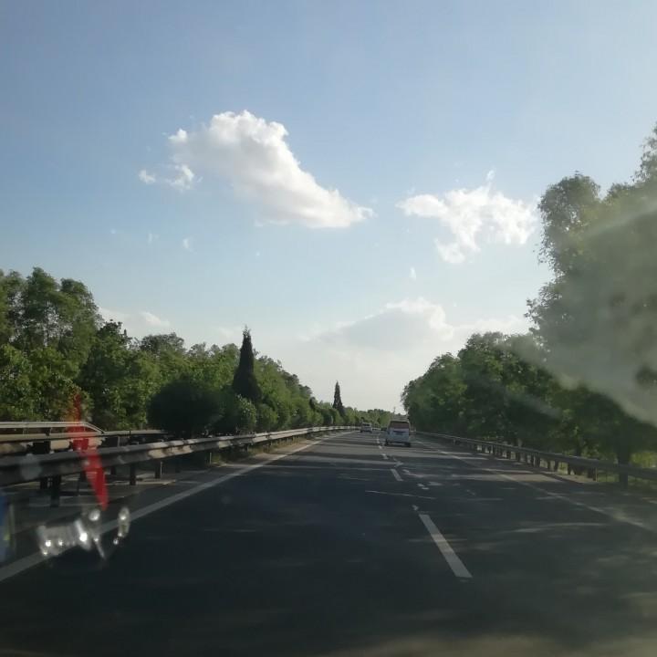 爱果果