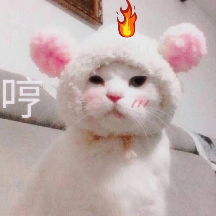 叫个什么名字好呢
