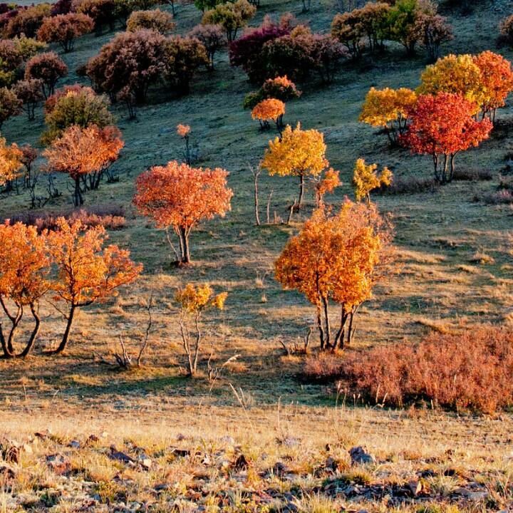 永不低头的勇士