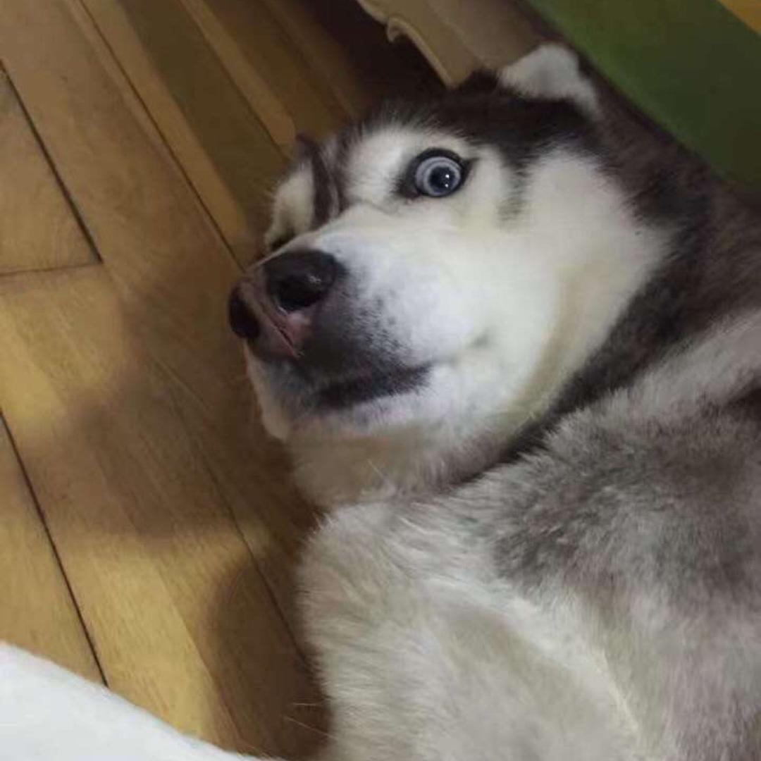 热心网友