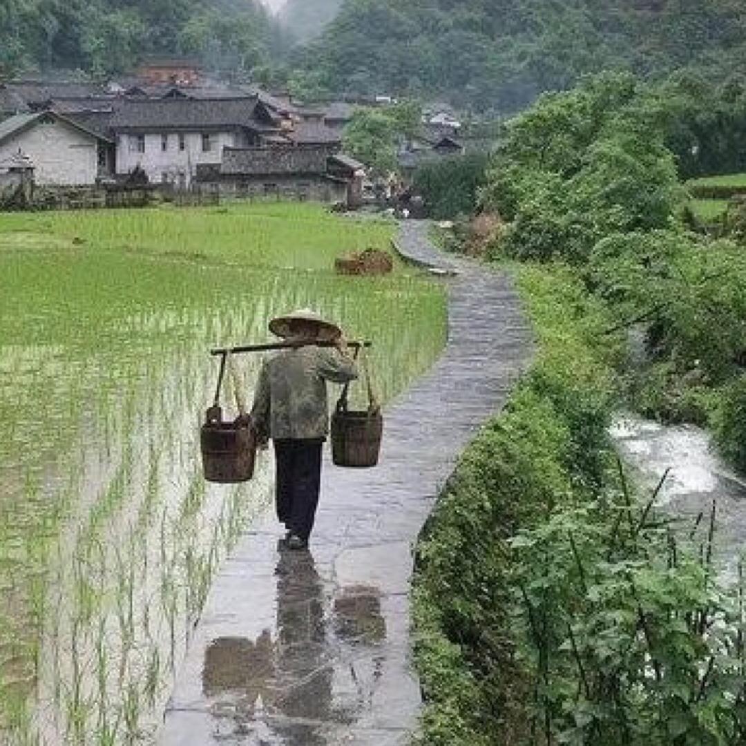 名字只是一个称呼