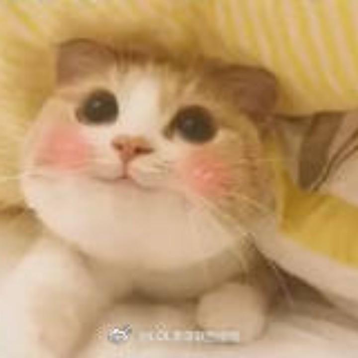 明天明天明天明天