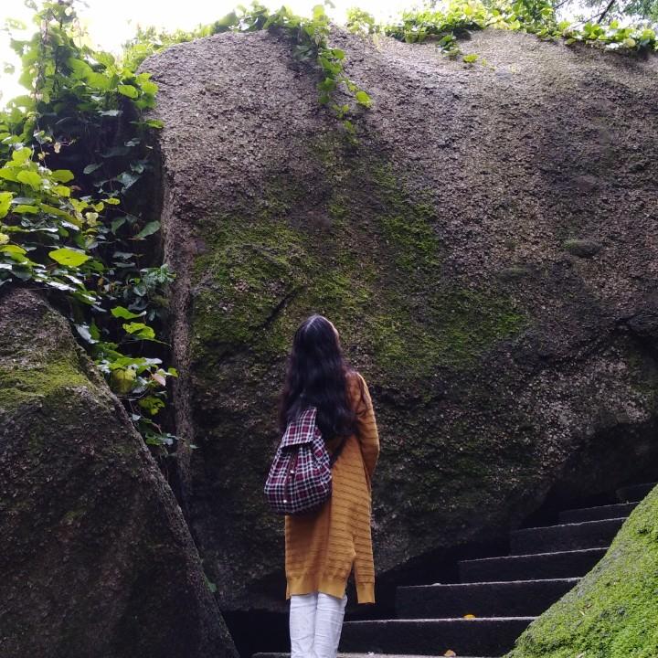 不会飞的燕子在南宁