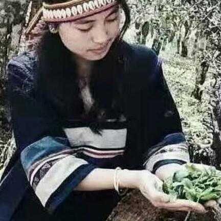 茶山女