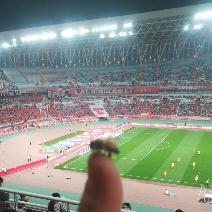 莱福乐乐