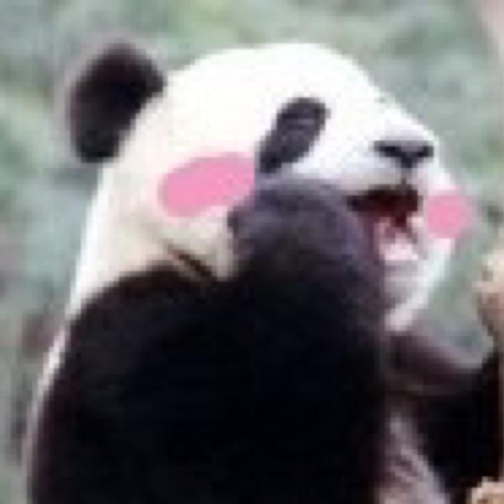 倒数小马正在路上