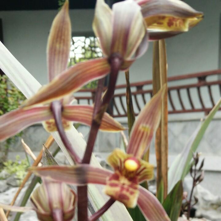 珠宝文玩水晶玛瑙，玉器，翡翠，工厂店