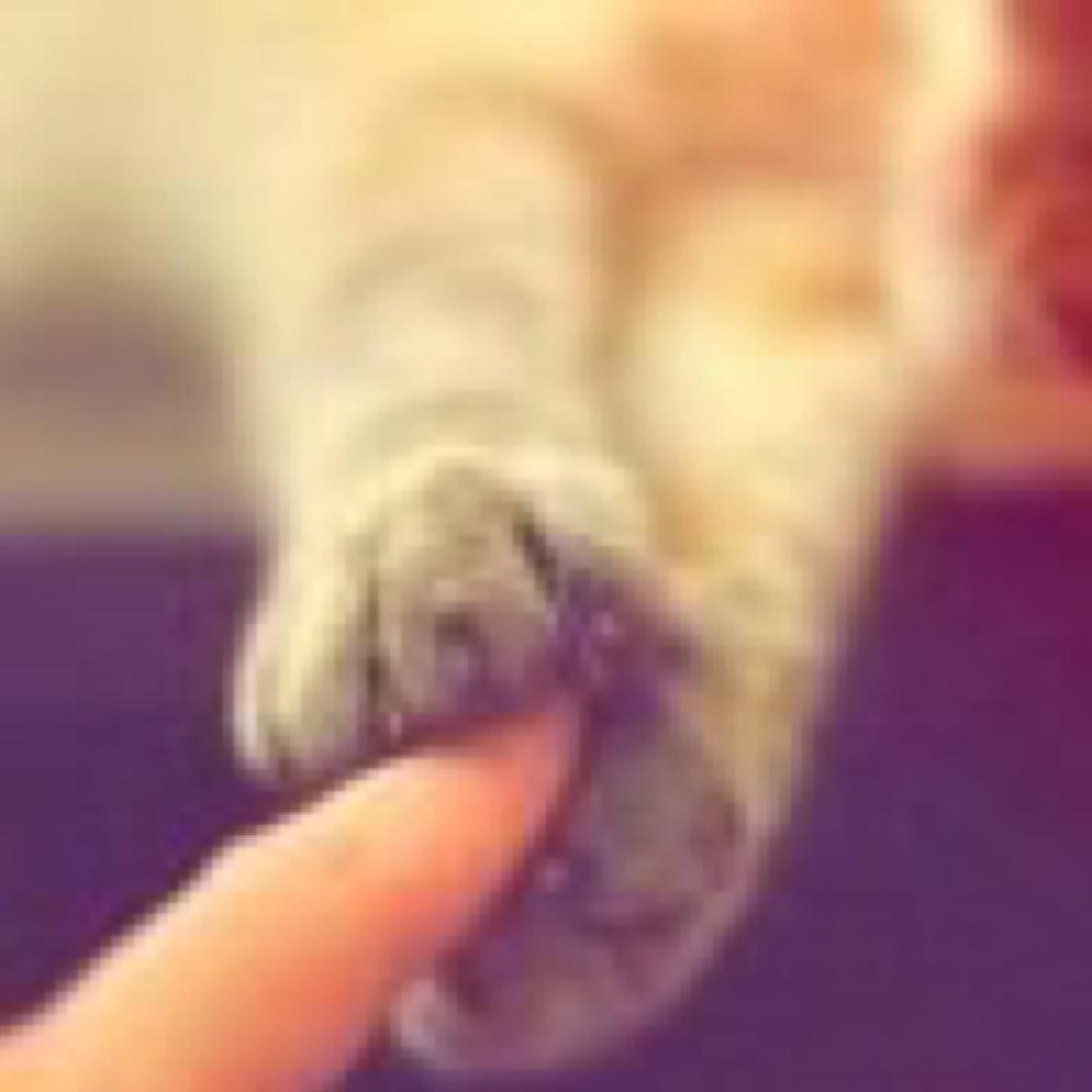 不正经的天机可不可以泄露