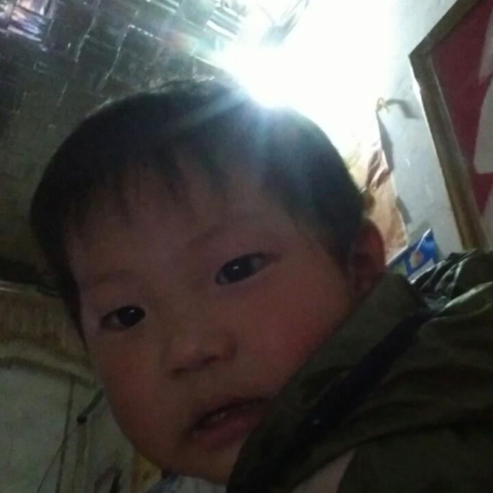 北方的狼