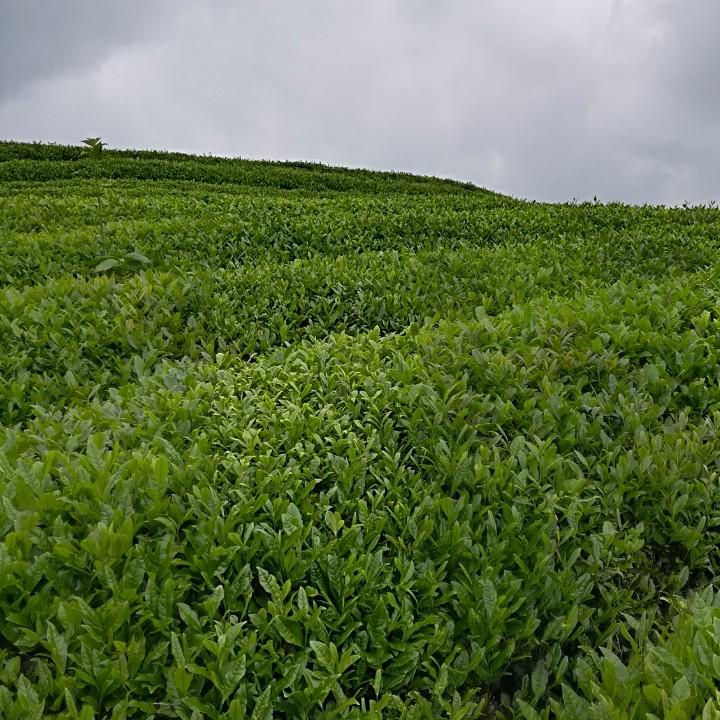 贵州黔食纪