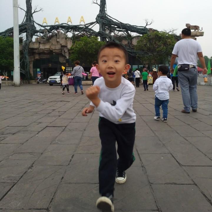安与本命