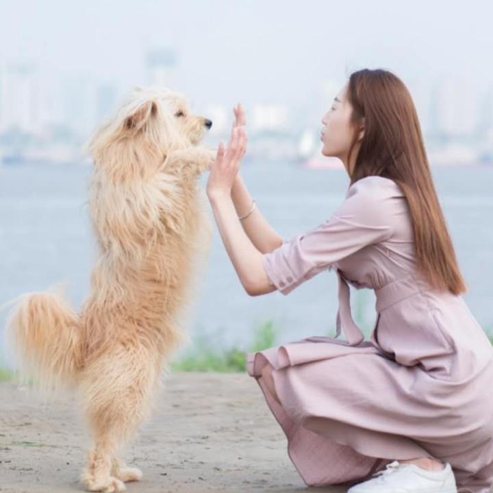 谷城珍珍🇨🇳