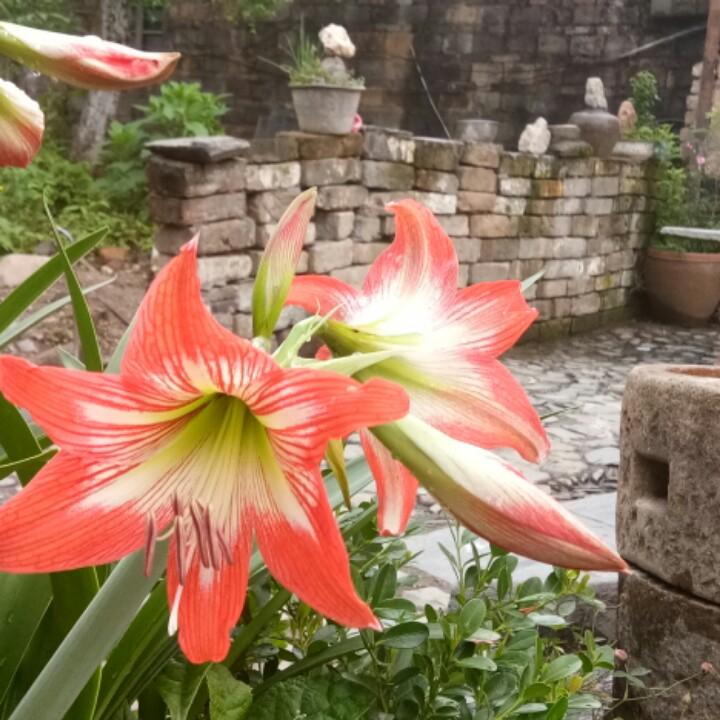 瑶里花台小屋