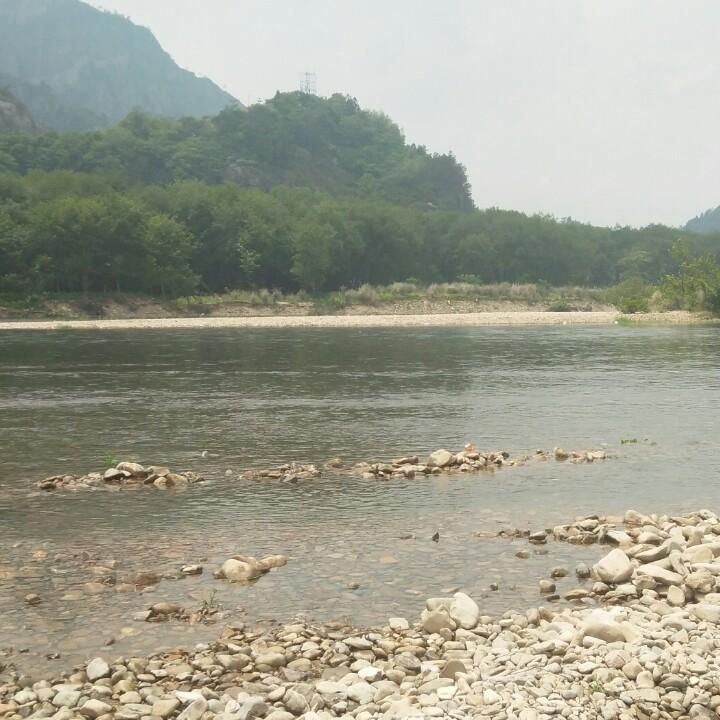强哥