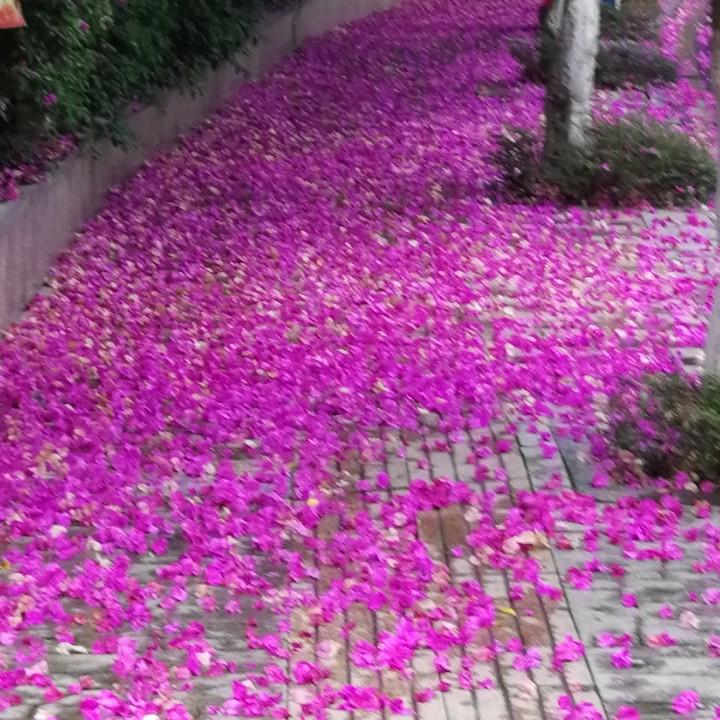 岁月无痕