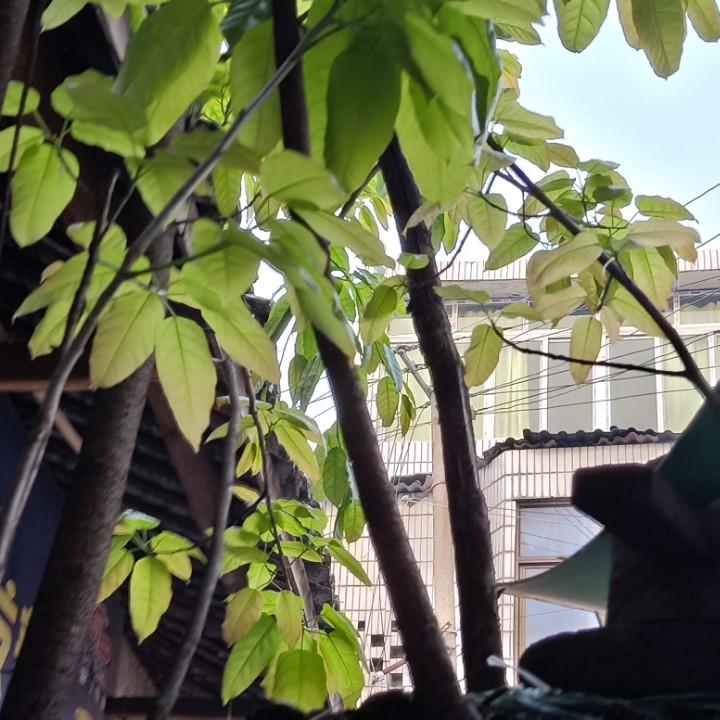 在路上