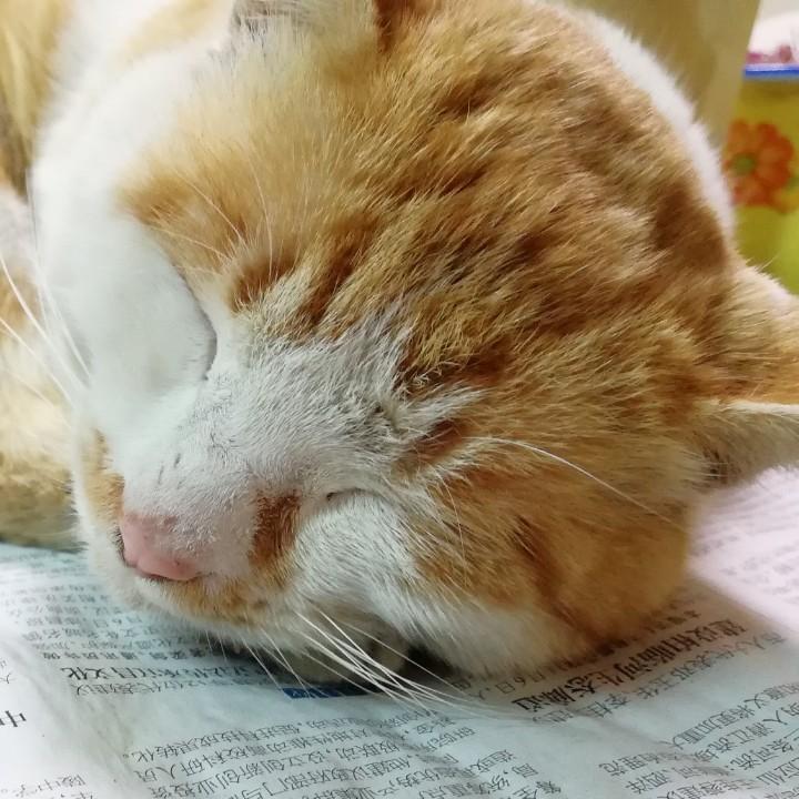 临也的小火锅