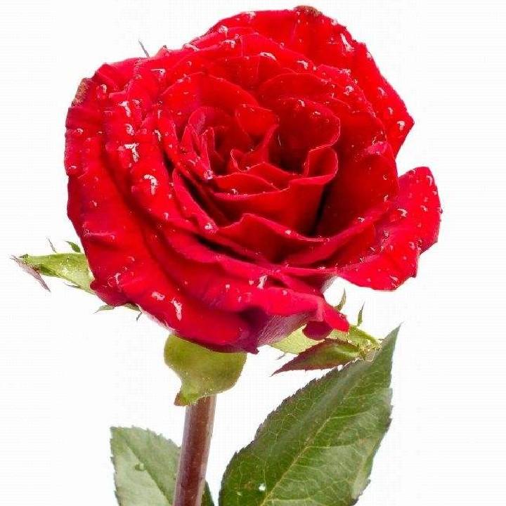 百善孝为先😊😊