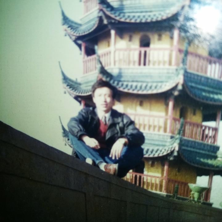 拉车的牛