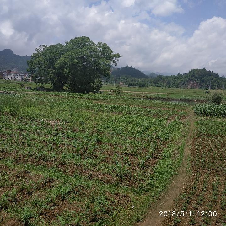烟厂