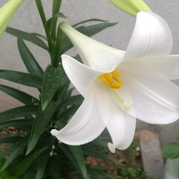 修身养性