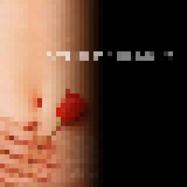 ᝰᦔꫀꪑꪮꪀ₅₂₀¹³¹⁴ .