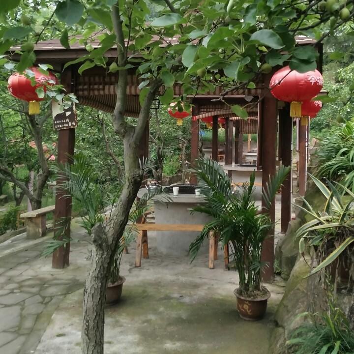 【皮皮】
