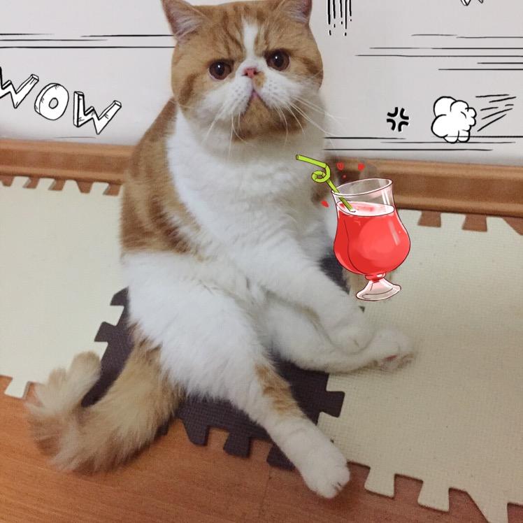 ⚡️闪电妈