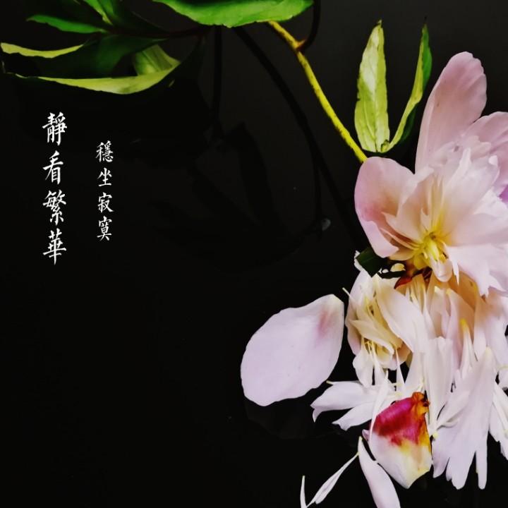 五彩斑斓的黑