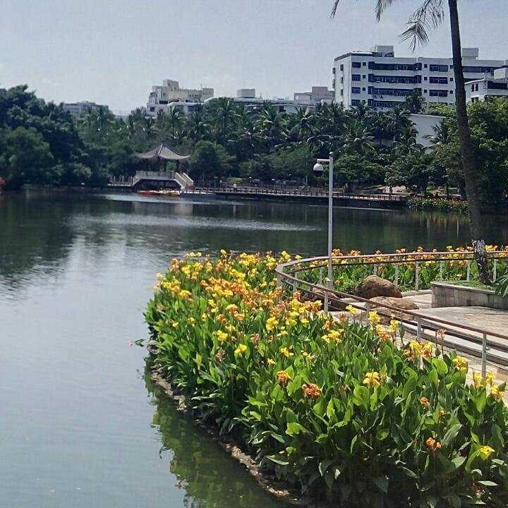 花🌹季
