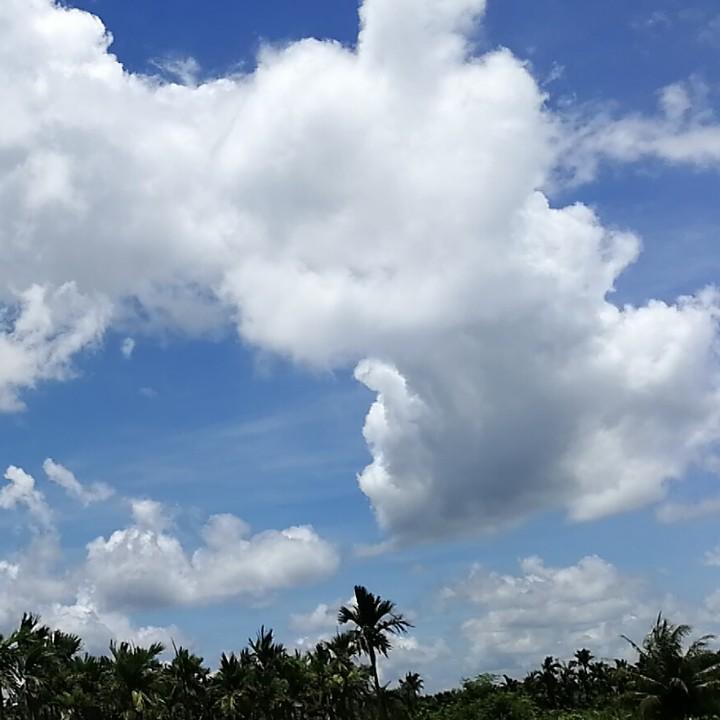 缘来是你