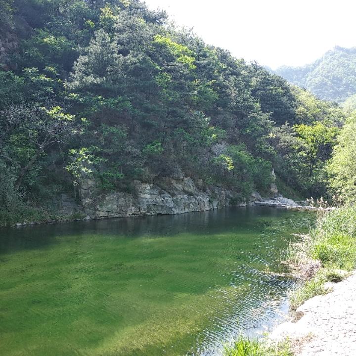 云淡风轻