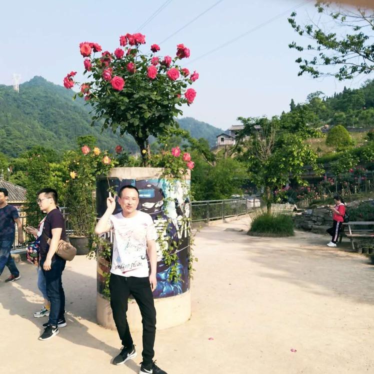 刚爷