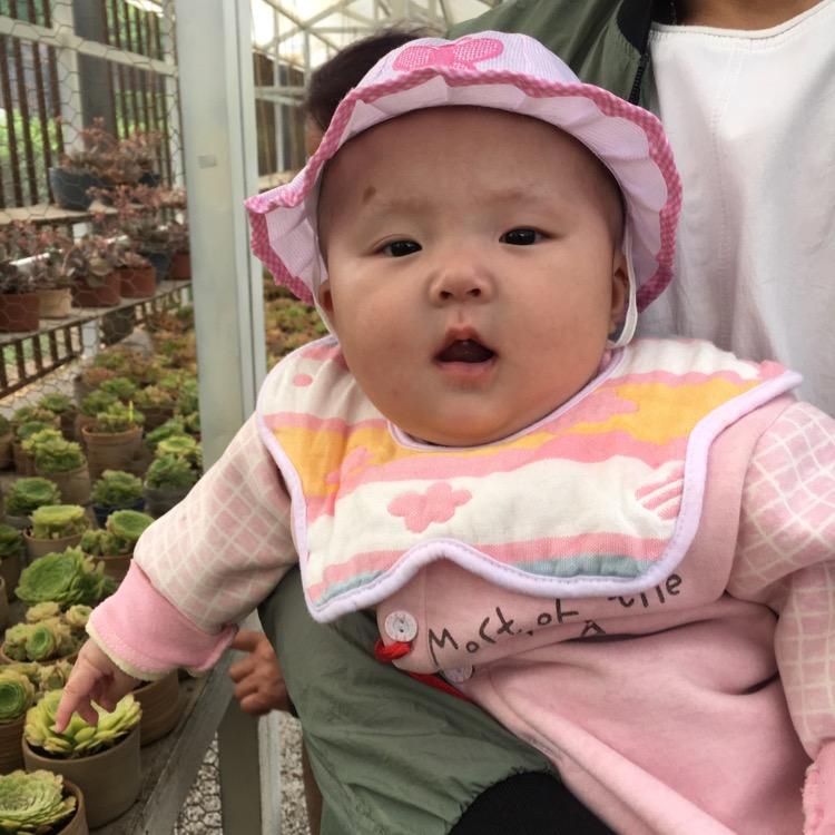 张蕾蕾蕾蕾蕾