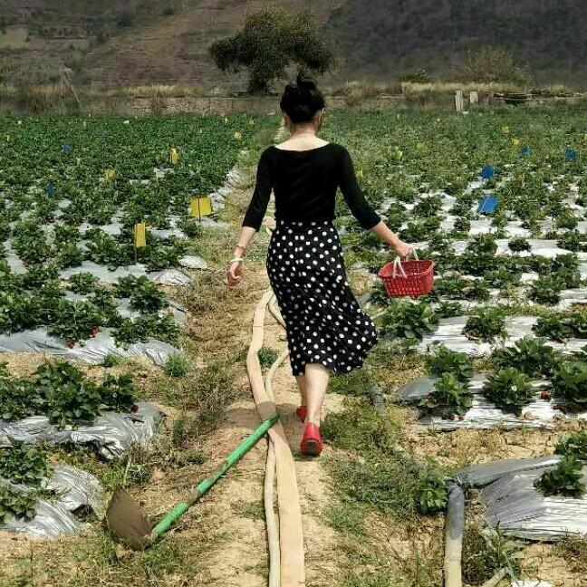 黎贝贝