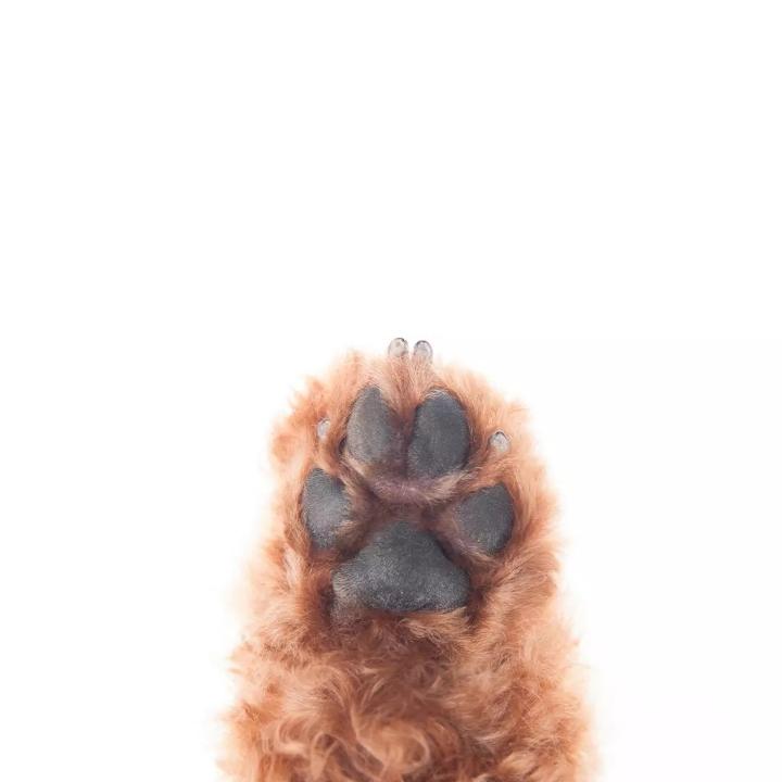再也不想闻正庚烷了-_