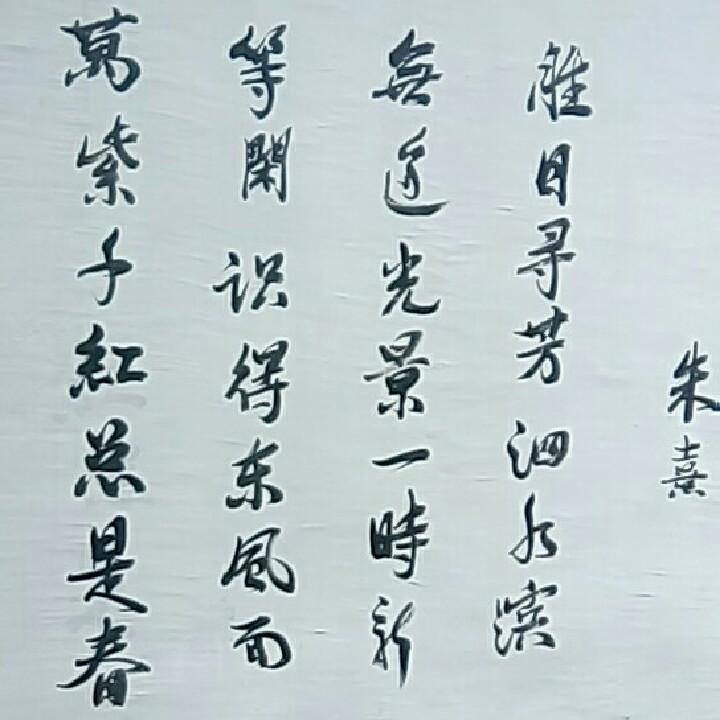 朱歌