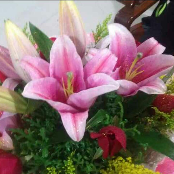 🌈🌈吉川富浪🐯🐯