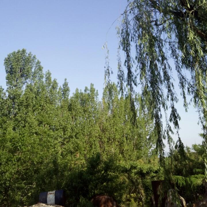 志诚科洁固废处置