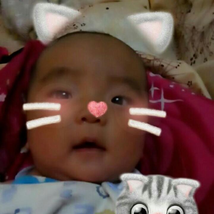 大宝🐓小宝🐎